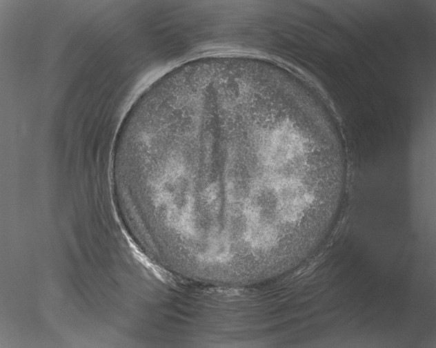 X0000076391231200611031647