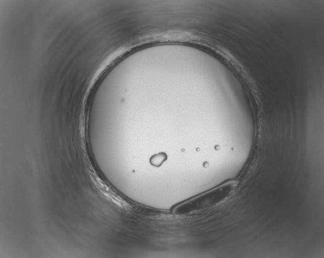 X0000076391232200611031647