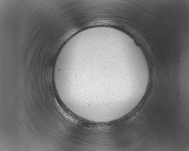 X0000076391233200611031647