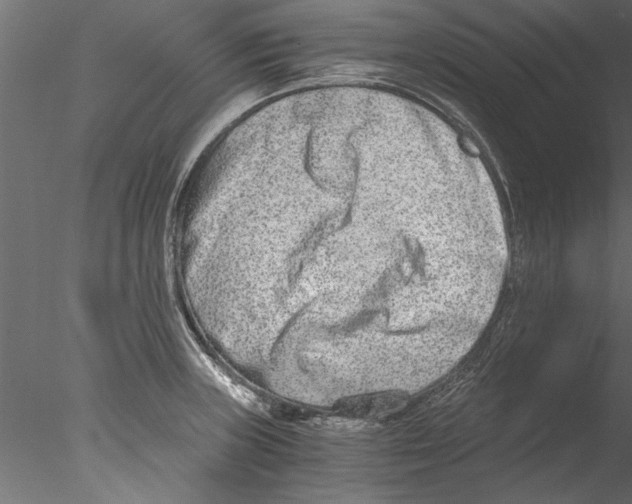 X0000076391235200611031647