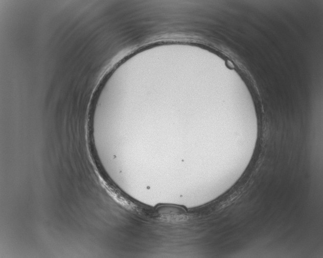 X0000076391237200611031647