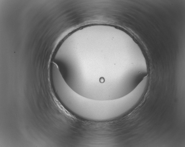 X0000076391238200611031647