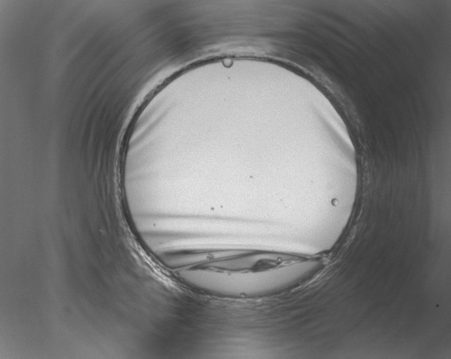 X0000076391240200611031647