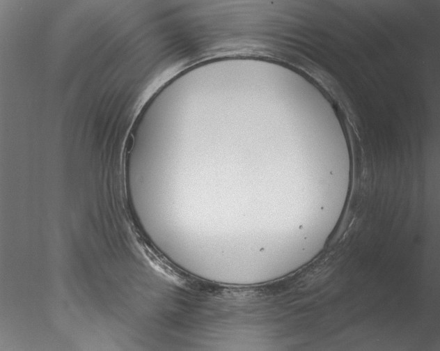 X0000076391242200611031647