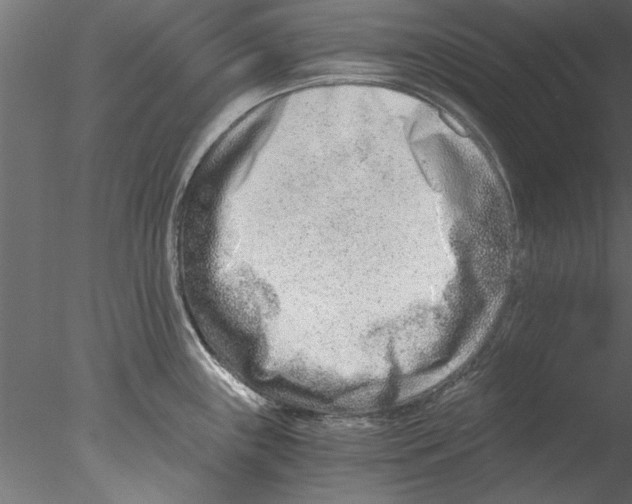 X0000076391243200611031647