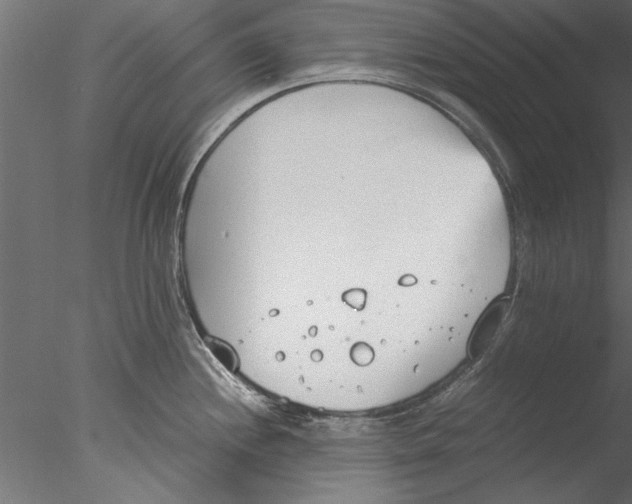 X0000076391244200611031647