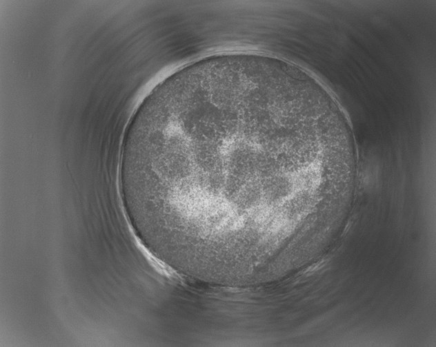 X0000076391245200611031647