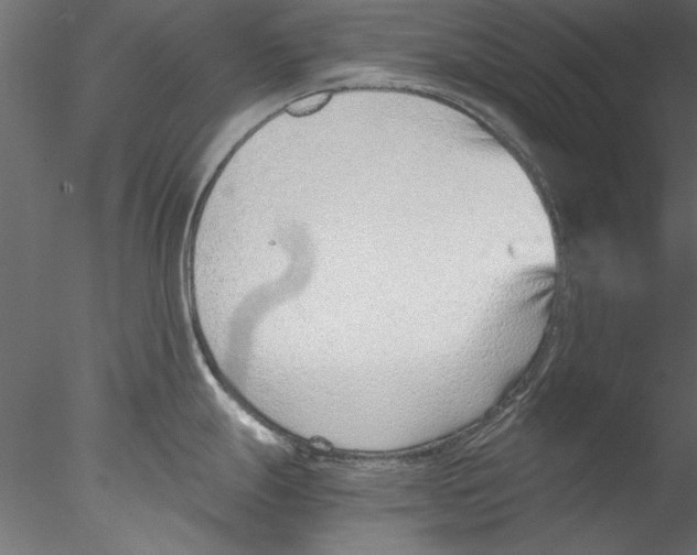 X0000076391247200611031647