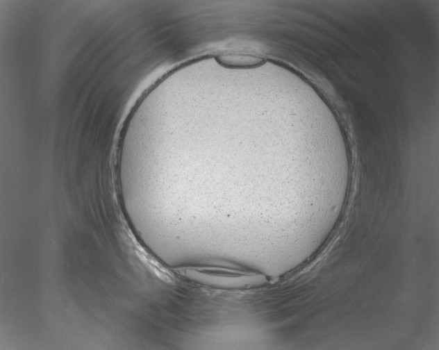 X0000076391248200611031647