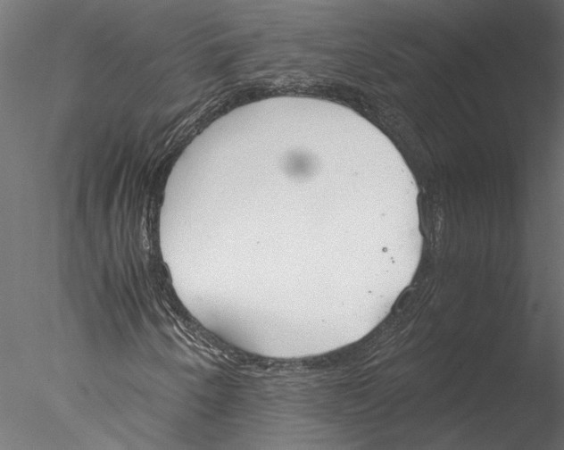 X0000076391250200611031646