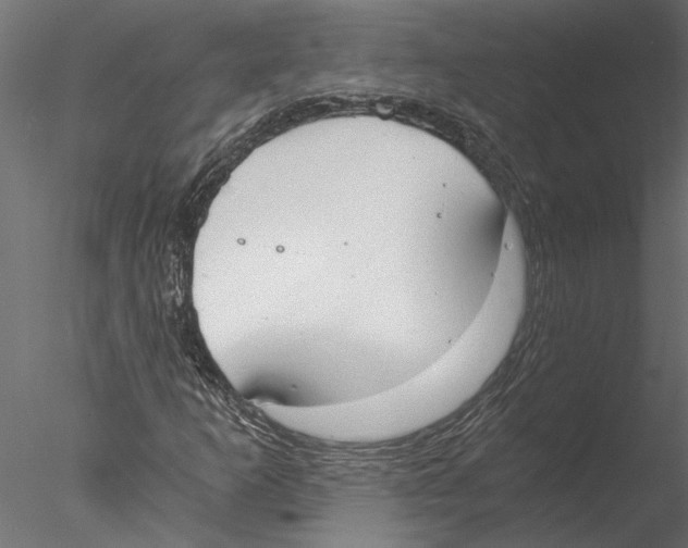 X0000076391253200611031646