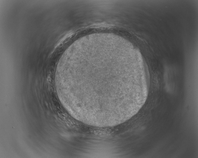 X0000076391254200611031646