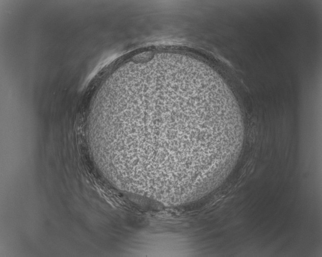 X0000076391255200611031646