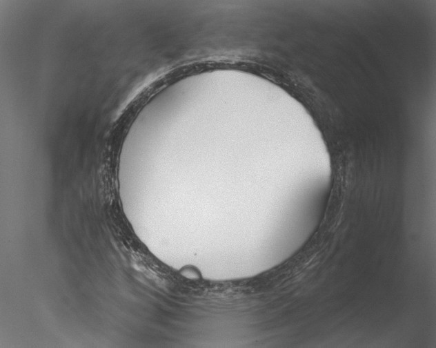 X0000076391256200611031646