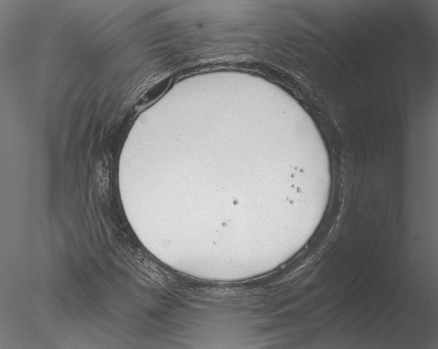 X0000076391257200611031646