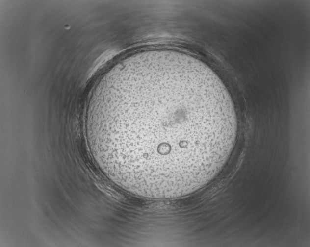 X0000076391259200611031646