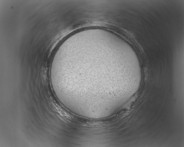 X0000076391260200611031646