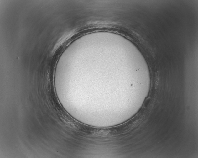 X0000076391261200611031646