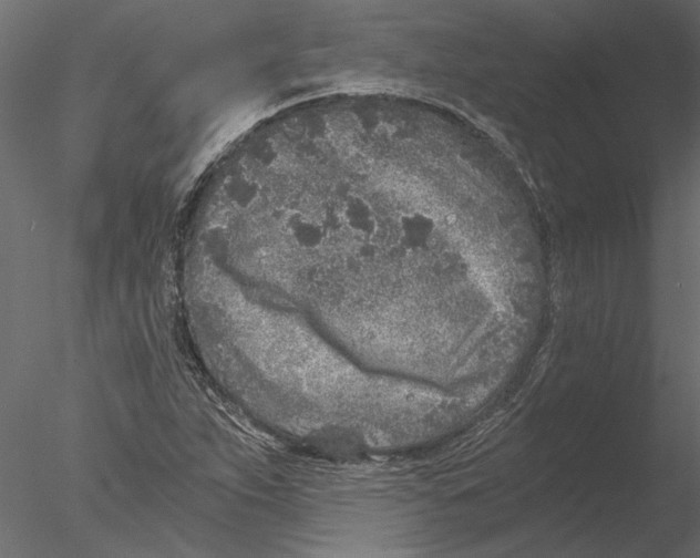 X0000076391263200611031646