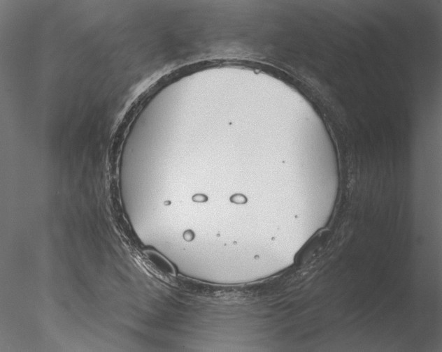 X0000076391264200611031646