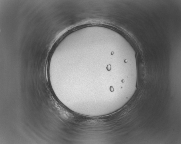 X0000076391272200611031646