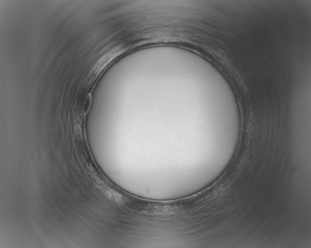 X0000076391273200611031646