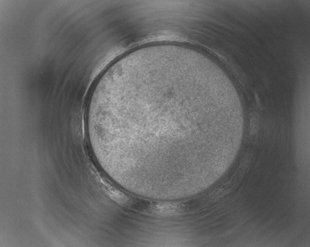 X0000076391274200611031646