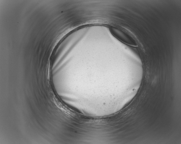 X0000076391276200611031646