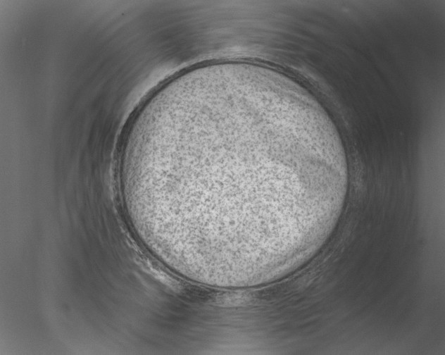 X0000076391278200611031646