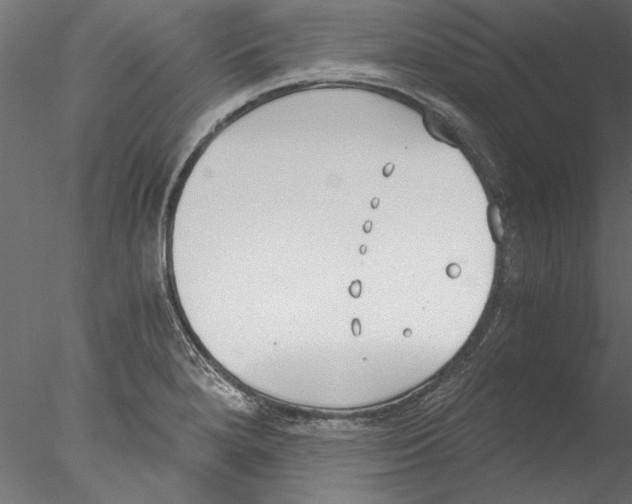 X0000076391280200611031646