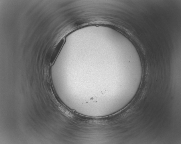 X0000076391281200611031646