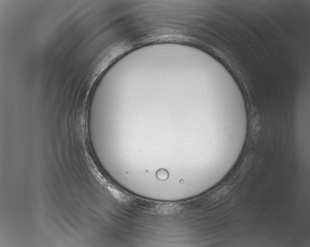 X0000076391282200611031646