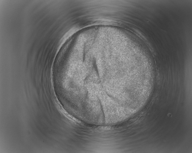 X0000076391283200611031646