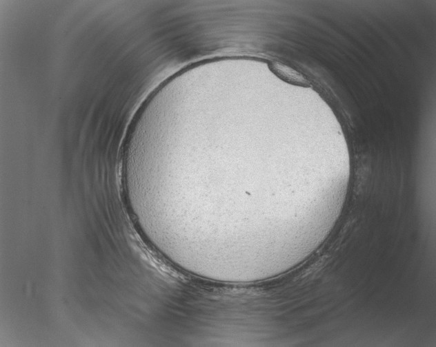 X0000076391284200611031646