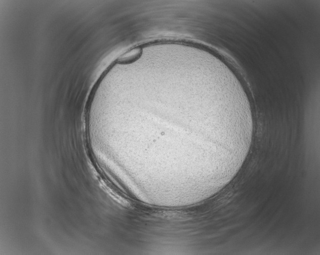 X0000076391287200611031645