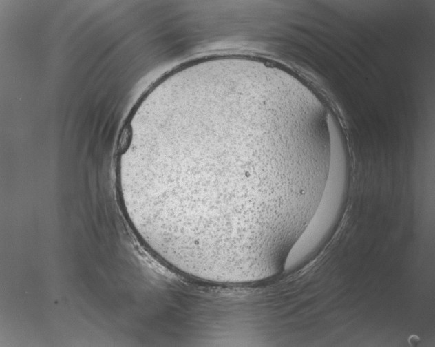 X0000076391288200611031645