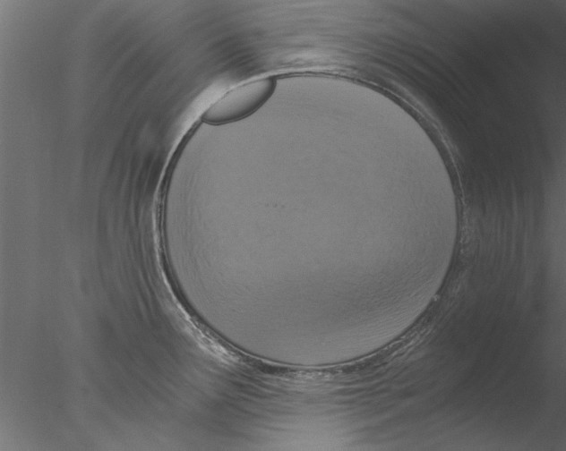 X0000076391291200611031645