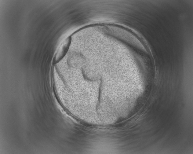 X0000076391295200611031645