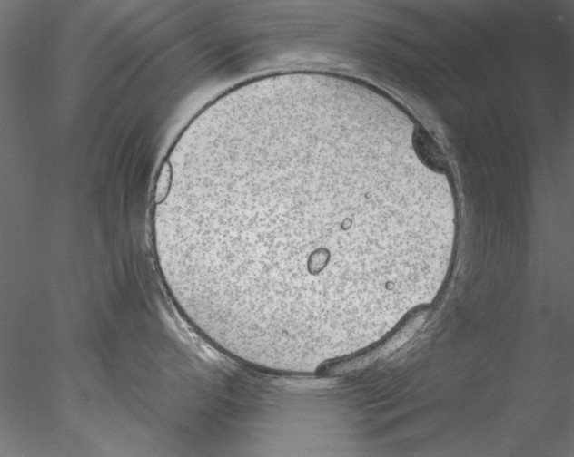 X0000076391296200611031645