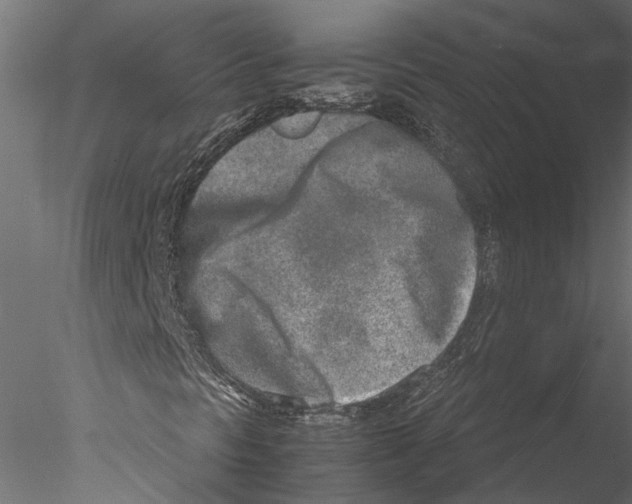 X0000076391297200611031645