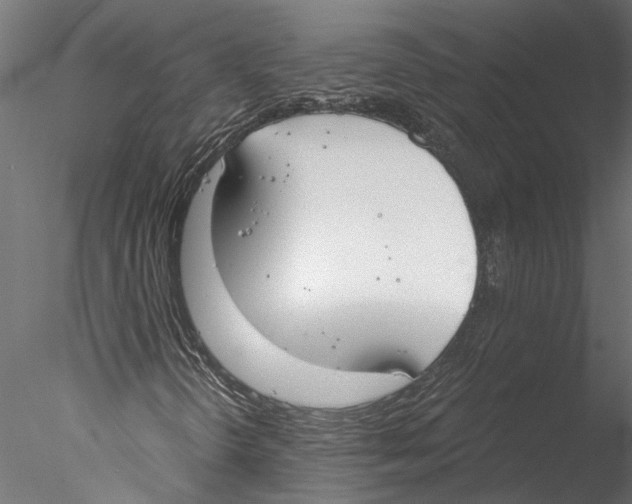 X0000076391298200611031645