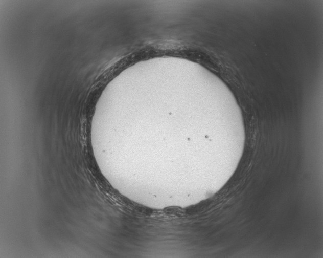 X0000076391301200611031645