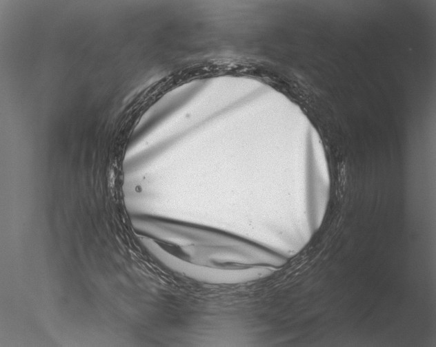 X0000076391302200611031645