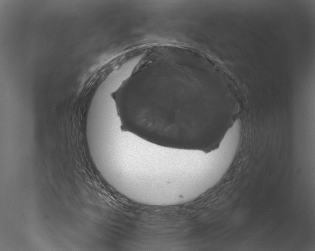 X0000076391303200611031645