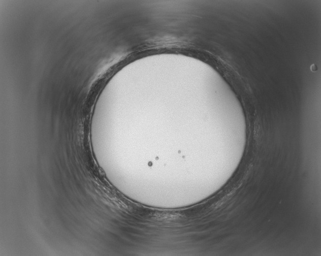 X0000076391309200611031645