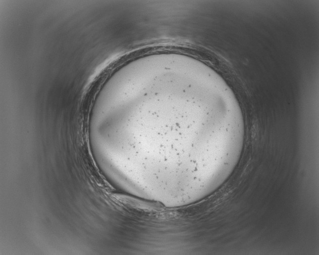 X0000076391310200611031645