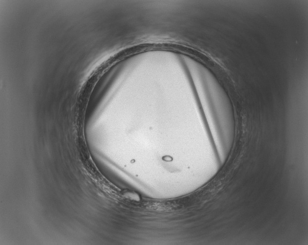 X0000076391311200611031645