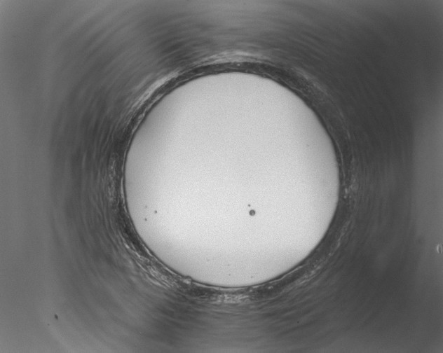 X0000076391313200611031645