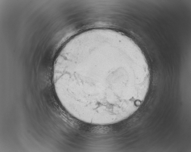 X0000076391314200611031645