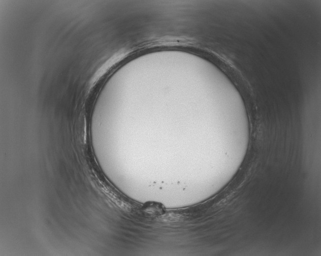 X0000076391317200611031645